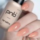 Гел лак PNB 8 мл 294